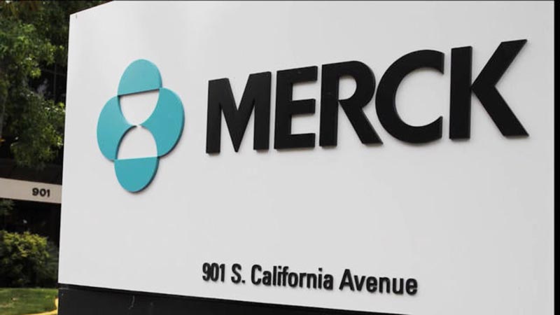 the-influence-on-consumer-perception The Merck Logo History, Colors, Font, And Meaning