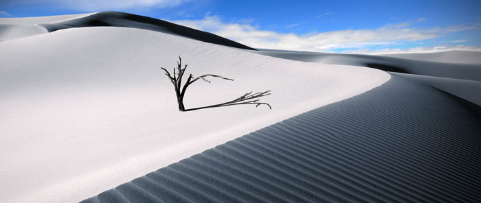 Gobi desert 1080P 2K 4K 5K HD wallpapers free download  Wallpaper Flare